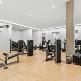 Gym Gym